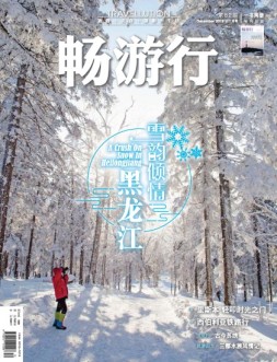 畅游行 19年82期A