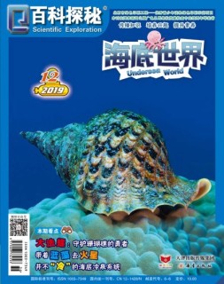 百科探秘·海底世界 19年12月号