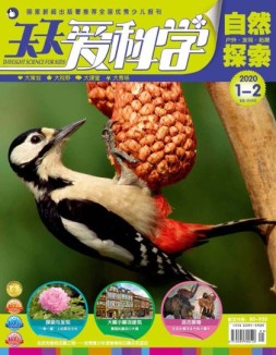 天天爱科学 20年1-2月号