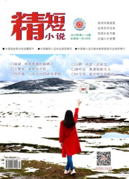 精短小说 19年第11-12期