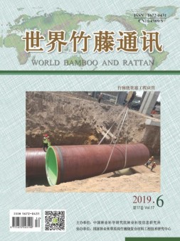 世界竹藤通讯 19年第6期