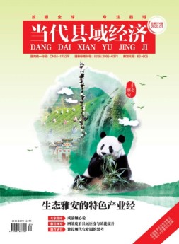 当代县域经济 20年1月号