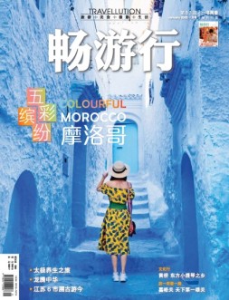 畅游行 20年83期A