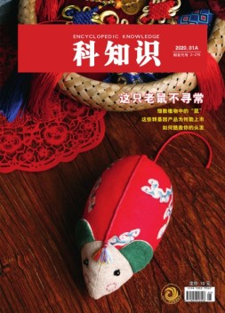 百科知识 20年1月上