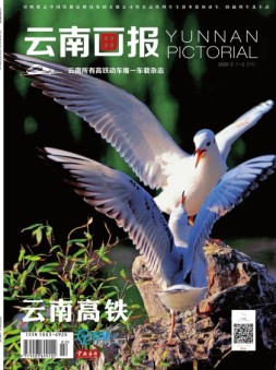 云南画报·云南旅游 20年1-2月