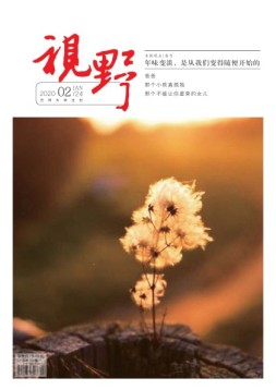 视野 20年第2期