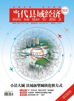 当代县域经济 20年2月号