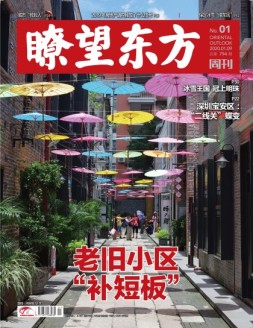 瞭望东方周刊 20年第1期