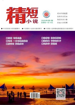 精短小说 20年第1期