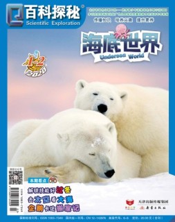 百科探秘·海底世界 20年1-2月号