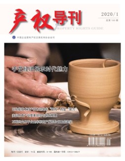 产权导刊 20年第1期