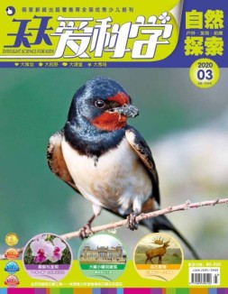 天天爱科学 20年3月号