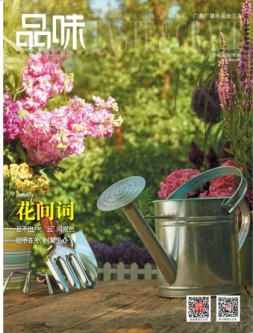 娱乐品味周刊 20年第3期
