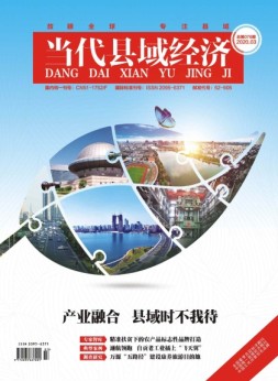当代县域经济 20年3月号
