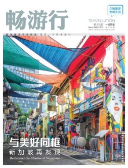 畅游行 20年85期B