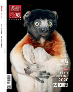 摄影之友 20年2月号