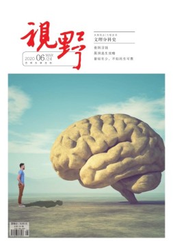 视野 20年第6期