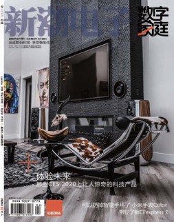 新潮电子 20年2月下