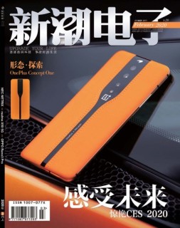 新潮电子 20年2月上