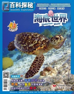 百科探秘·海底世界 20年3月号