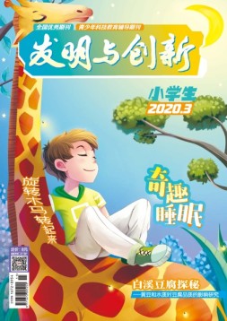 发明与创新少儿天地 20年3月号