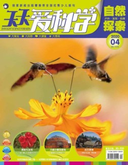 天天爱科学 20年4月号