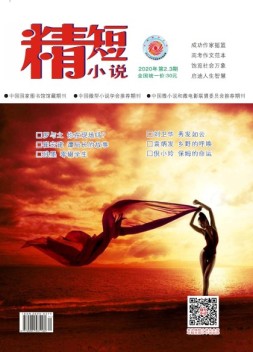 精短小说 20年第2-3期