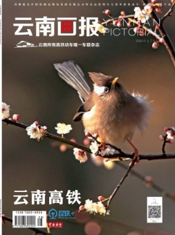 云南画报·云南旅游 20年3月中