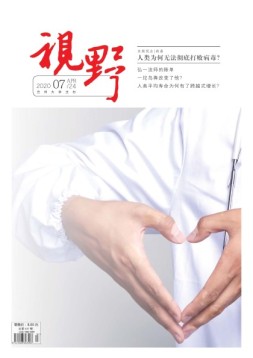 视野 20年第7期