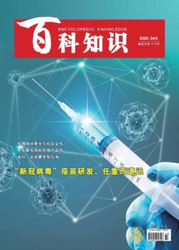 百科知识 20年4月上