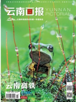 云南画报·云南旅游 20年4月中
