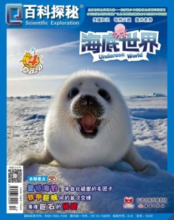百科探秘·海底世界 20年4月号