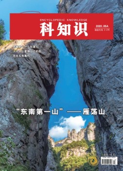 百科知识 20年5月上