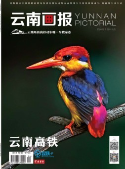 云南画报·云南旅游 20年5月中