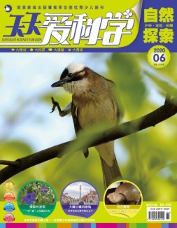 天天爱科学 20年6月号
