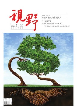 视野 20年第11期