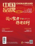 中国品牌 20年6期