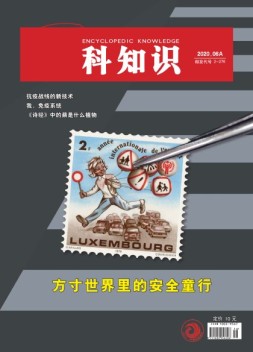 百科知识 20年6月上