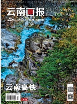 云南画报·云南旅游 20年6月中