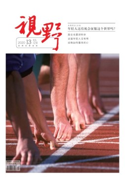 视野 20年第13期