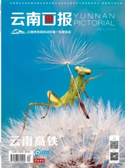 云南画报·云南旅游 20年7月中