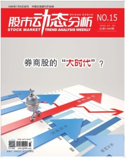 股市动态分析 20年第15期