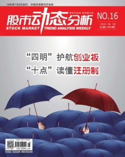 股市动态分析 20年第16期