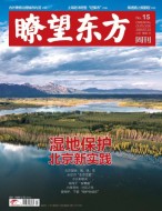 瞭望东方周刊 20年第15期