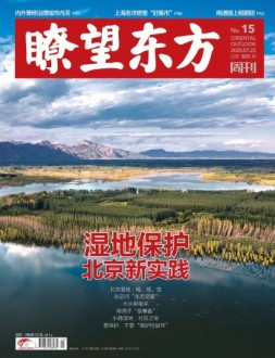 瞭望东方周刊 20年第15期