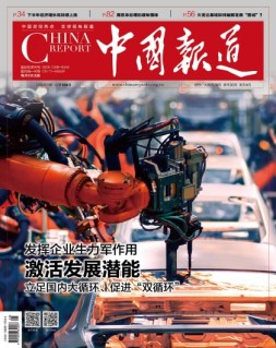 中国报道 20年第8期