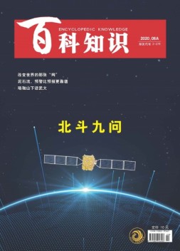 百科知识 20年8月上