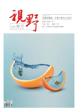 视野 20年第16期