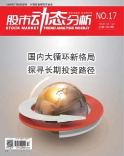股市动态分析 20年第17期