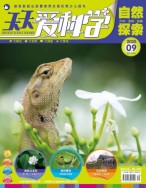 天天爱科学 20年9月号
